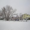 la grande nevicata del febbraio 2012 132